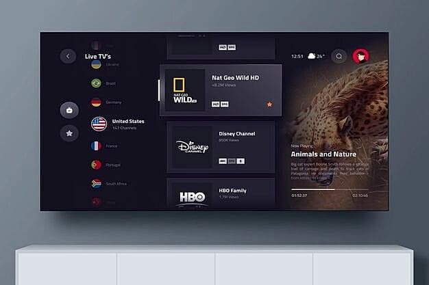 IPTV / SMATV